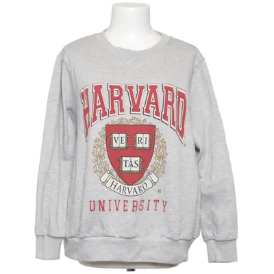 Sweatshirt (Grå, Flerfarvet) fra Anytime Bomuld, Polyester
