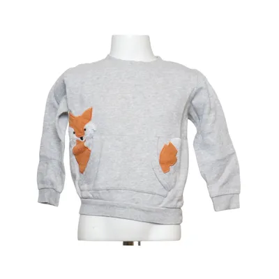 Collegetröja (Grå) från Alana