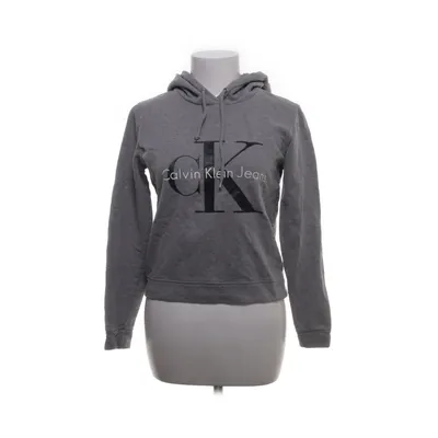 Collegetröja (Grå) från Calvin Klein Jeans Bomull