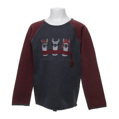 Långärmad t-shirt (Grå, Röd) från Maas Natur Ekologisk bomull