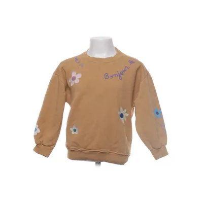 Sweatshirt (Marron, Multicolore) de Zara Coton, Polyester