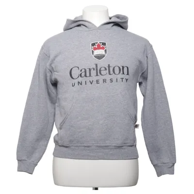 Huvtröja (Grå) från Russell Bomull, Polyester