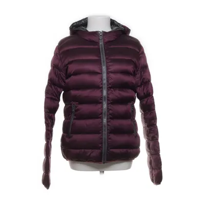 Dunjacka (Lila) från Colmar Dun, Fjädrar