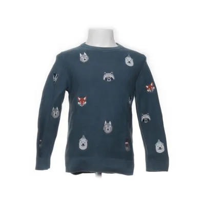 Tröja (Blå, Flerfärgad) från C&A Bomull