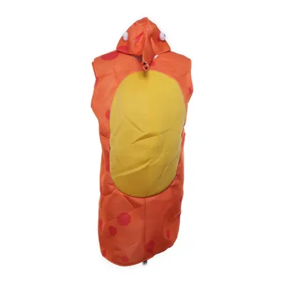 Fancy dress (Orange, Yellow, Red) from Disfraces Guirca