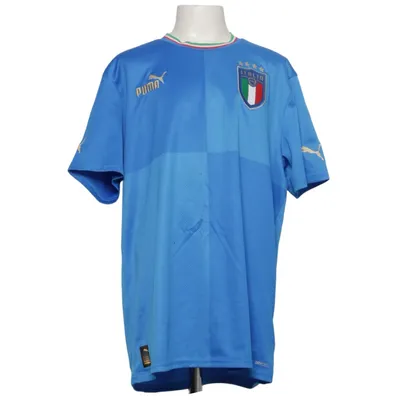 Fotbollströja (Blå, Flerfärgad) från Puma Polyester