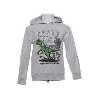Huvtröja (Grå) från Jurassic World Bomull, Polyester