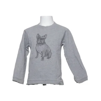 Sweatshirt (Gray) from Anive Organic cotton