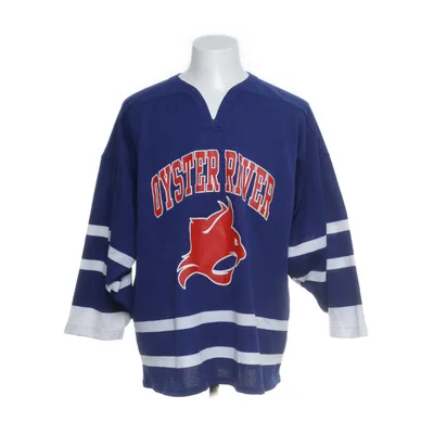 Collegetröja (Blå) från SP Polyester
