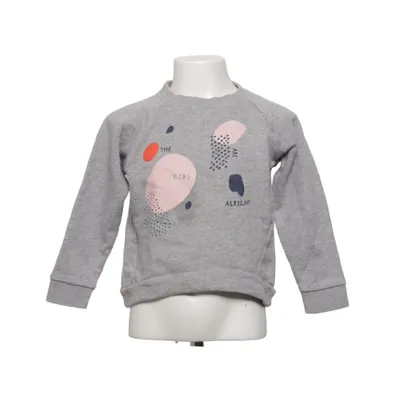 Sweatshirt (Gray, Multicolored) from Manana Cotton