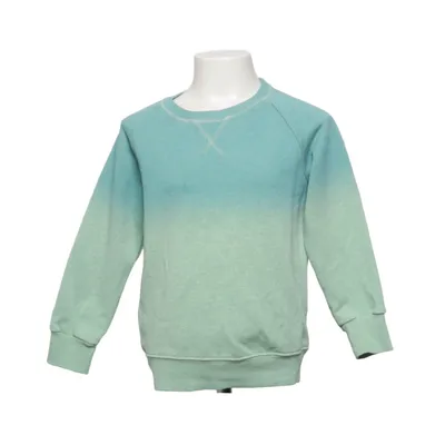 Sweatshirt (Grøn, Blå) fra Zara Boys Bomuld, Elastan, Polyester