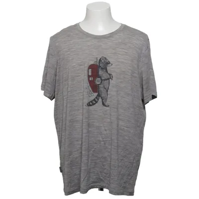 T-shirt (Grå) från Icebreaker