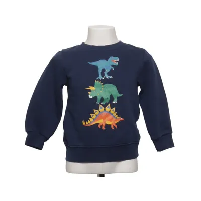 Sweatshirt (Blauw, Meerkleurig) van H&M Katoen, Polyester