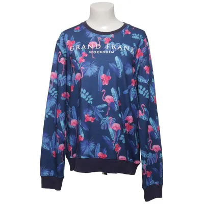 Sweatshirt (Blå, Pink, Flerfarvet) fra Grand Frank Polyester
