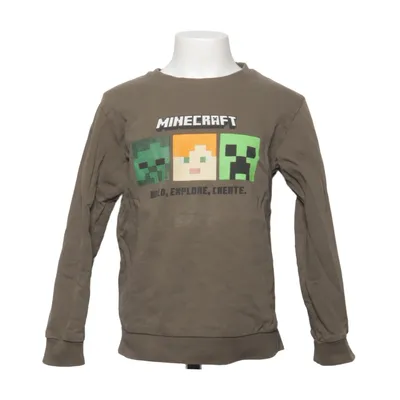Sweatshirt (Bruin, Meerkleurig) van Minecraft Katoen
