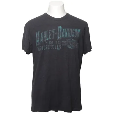 T-shirt (Grå) från Harley Davidson