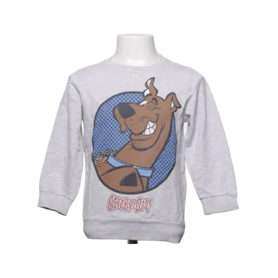 Sweatshirt (Gray) from Scooby-Doo