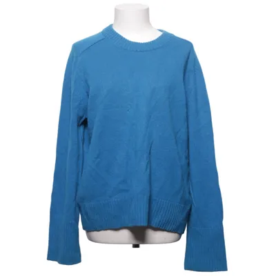 Sweater (Blue) from COS Cashmere