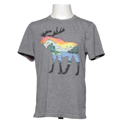 T-shirt (Gray, Multicolored) from Abercrombie Kids