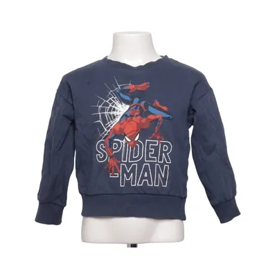 Sweatshirt (Spider-Man) from Marvel Cotton