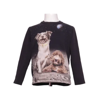 Långärmad t-shirt (Reif) från Molo Ekologisk bomull