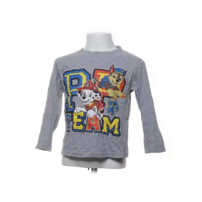 Långärmad t-shirt (Grå, Flerfärgad) från Nickelodeon Bomull, Viskos