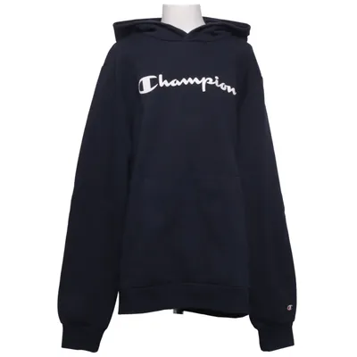Hoodie (Blue) from Champion