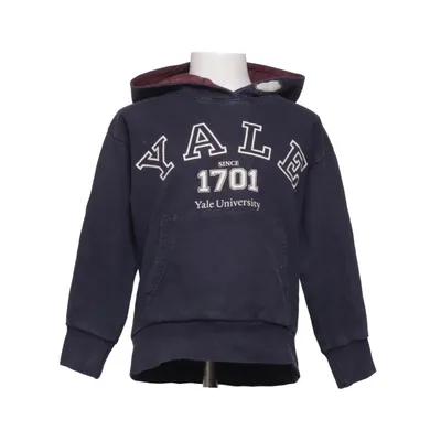 Sweat à capuche (Bleu) de Yale Coton, Viscose