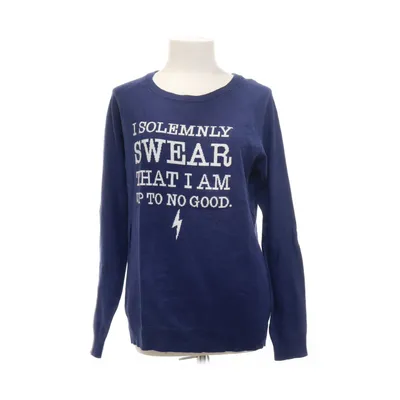 Trui (Blauw) van Harry Potter