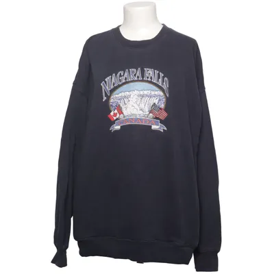 Sweatshirt (Niagara Falls) from Brandy Melville Cotton, Polyester