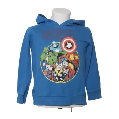 Hættetrøje (Blå, Flerfarvet) fra Marvel Comics Bomuld