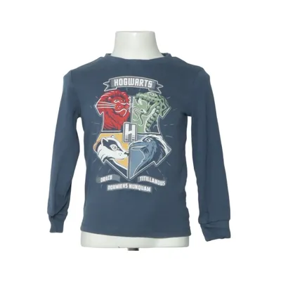 Långärmad t-shirt (Blå, Flerfärgad) från H&M Bomull