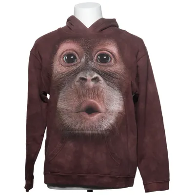 Hoodie (Brown) from The Mountain Cotton, Polyester