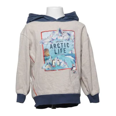 Hoodie (Beige, Multicolored) from Whooli Chen x H&M Cotton, Polyester