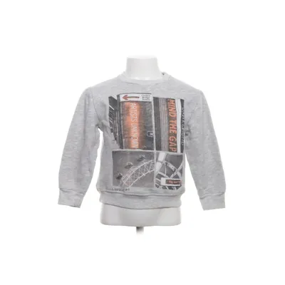 Sweatshirt (Grå) fra Zara Boys Bomuld