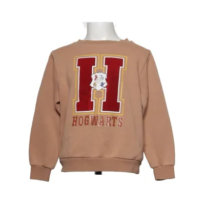 Sweatshirt (Brown) from Harry Potter x H&M Cotton, Polyester