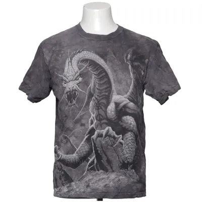 T-shirt (Grijs) van The Mountain