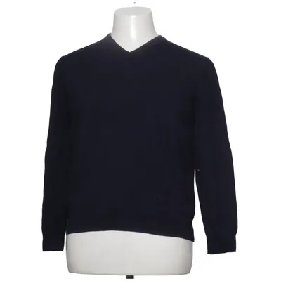 Pullover (Blue) from Calvin Klein Merino wool