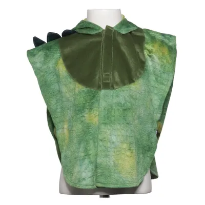 Maskeradkläder (Grön) från Den Goda Fen Polyester