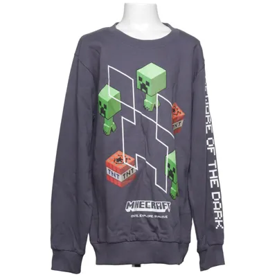 Collegetröja (Grå, Flerfärgad) från Minecraft Bomull