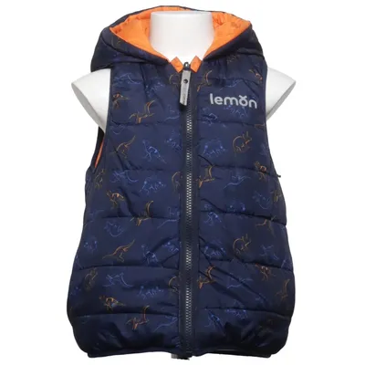Outer vest (Blue, Orange, Multicolored) from Lemon Polyester