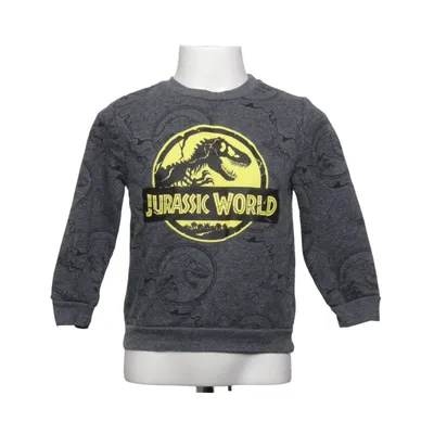 Sweatshirt (Gray, Yellow) from Jurassic World