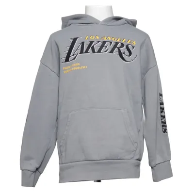 Capuchon sweater (Grijs) van NBA