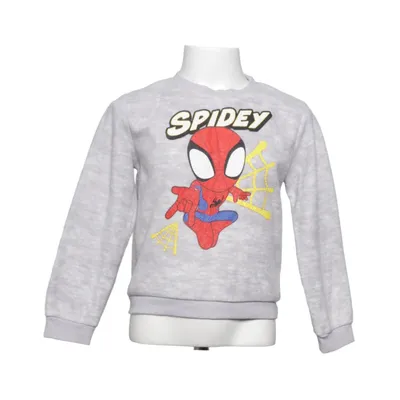 Sweatshirt (Gray, Multicolored) from Marvel