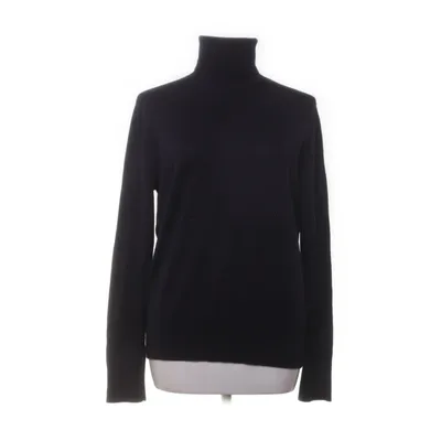 Turtleneck (Blue) from COS Wool