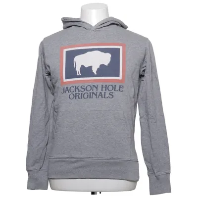 Sweat à capuche (Gris) de Jackson Hole Coton biologique