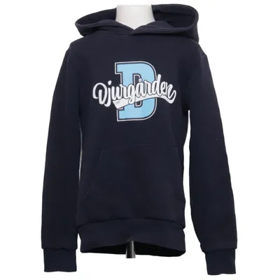 Hoodie (Blue) from Djurgården