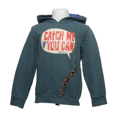 Hoodie (Blue, Gray) from Filou & Friends Cotton