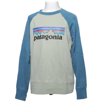 Sweatshirt (Blå, Grøn) fra Patagonia Økologisk bomuld, Polyester