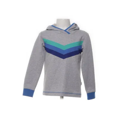 Hoodie (Gray, Blue, Green) from Lamino Cotton, Elastane